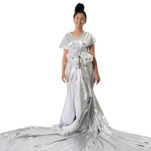 Silver Fox Flying Dress